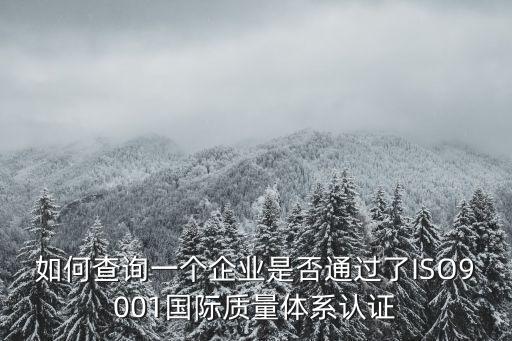 如何查詢一個(gè)企業(yè)是否通過(guò)了ISO9001國(guó)際質(zhì)量體系認(rèn)證