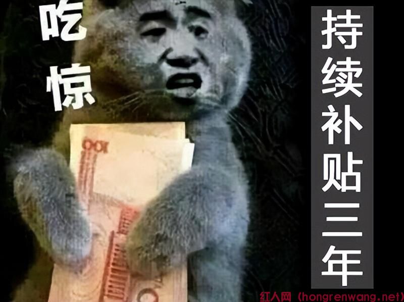 深戶創(chuàng)業(yè)補(bǔ)貼多少錢(qián)（深戶有多少錢(qián)的創(chuàng)業(yè)補(bǔ)貼政策）(圖3)