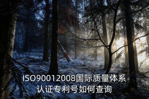 ISO90012008國(guó)際質(zhì)量體系認(rèn)證專利號(hào)如何查詢