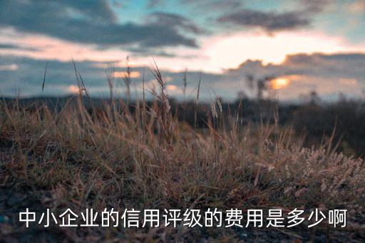 中小企業(yè)的信用評級的費(fèi)用是多少啊