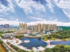 2024年深圳市知識產(chǎn)權(quán)領(lǐng)域?qū)ｍ椯Y金預(yù)告！