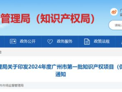 廣州啟動2024年度第一批知識產(chǎn)權(quán)項目（促進類）申報，最高獎勵300萬！