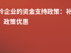 瞪羚企業(yè)的資金支持政策:補(bǔ)貼金額、政策優(yōu)惠