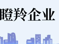 佛山瞪羚企業(yè)認(rèn)定條件、扶持政策最高補(bǔ)貼100萬(wàn)