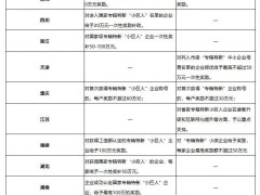 “專精特新”能獎(jiǎng)多少錢(qián)？2024全國(guó)獎(jiǎng)補(bǔ)政策全匯總！