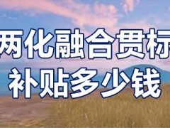 兩化融合貫標(biāo)補(bǔ)貼多少錢？兩化融合貫標(biāo)補(bǔ)貼條件？